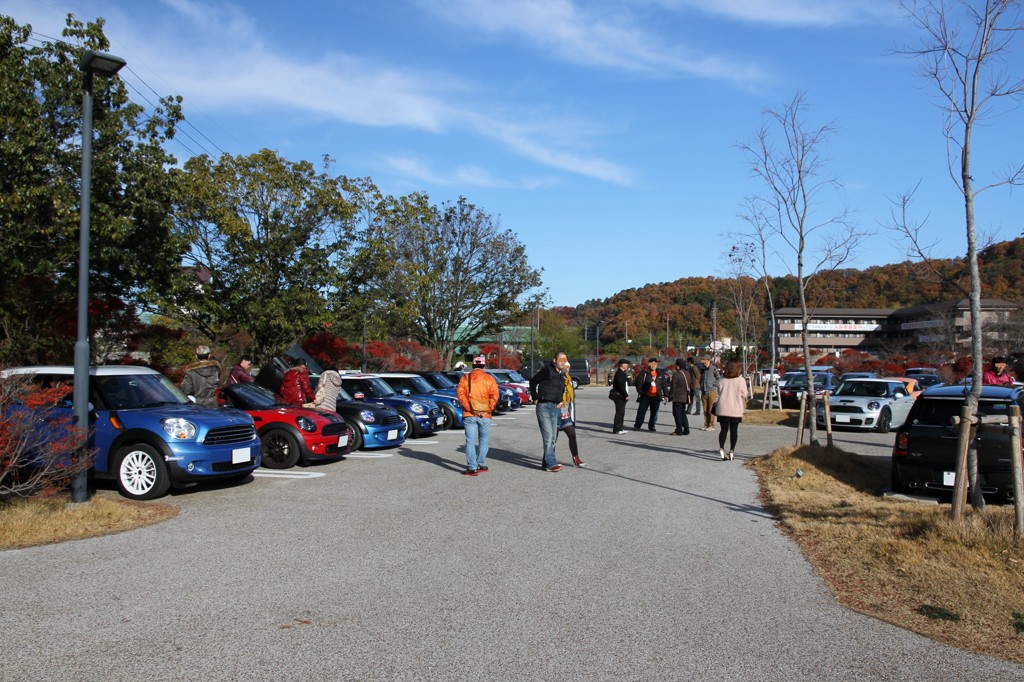 IMG_5895 (4000x2667)