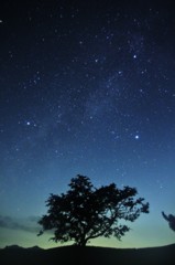 夏の大三角と天の川