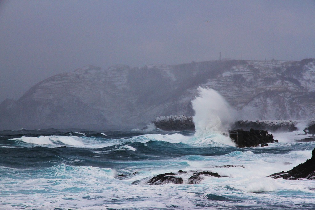 荒れ狂うシャコタンブルー