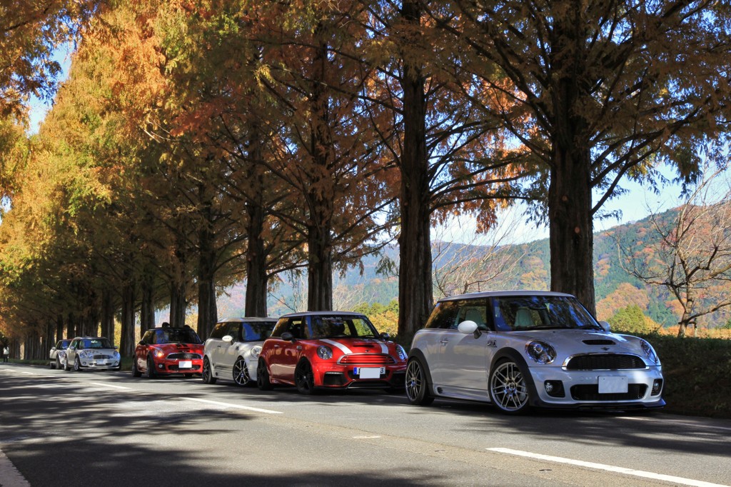 IMG_6014 (4000x2667)