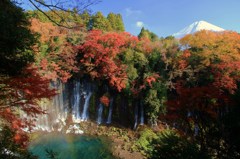 白糸の滝と紅葉