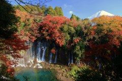 白糸の滝と紅葉