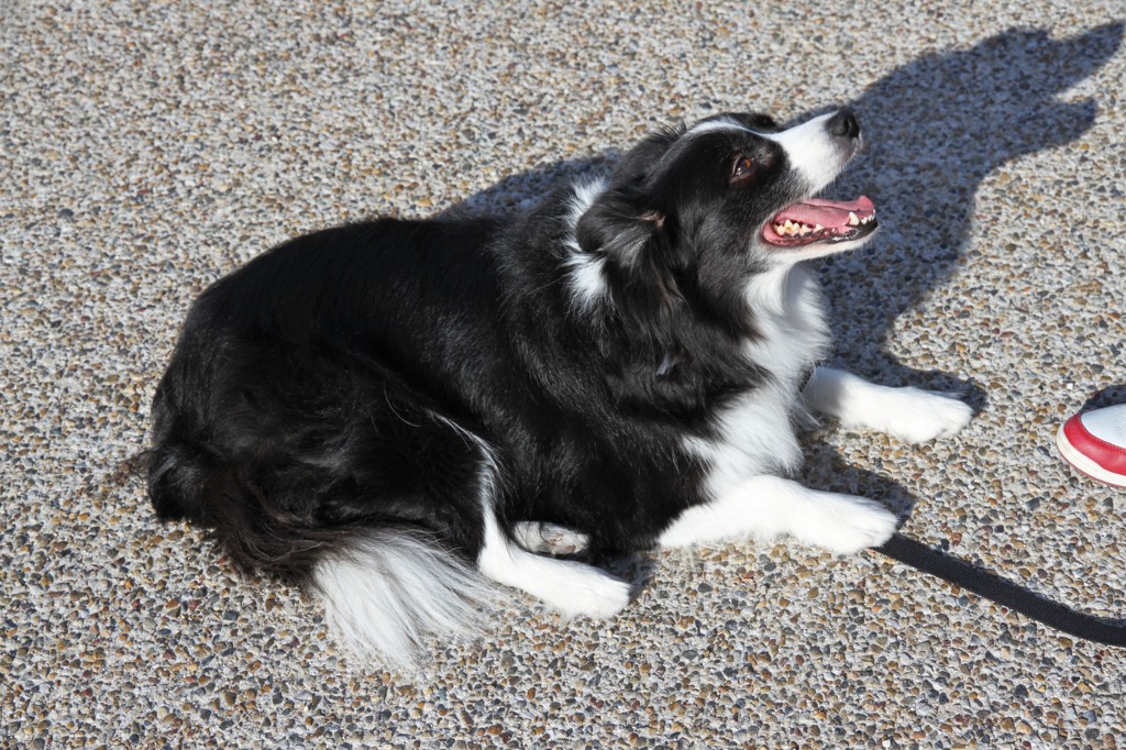 IMG_5902 (4000x2667)