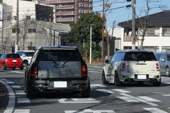 IMG_5920 (4000x2665)