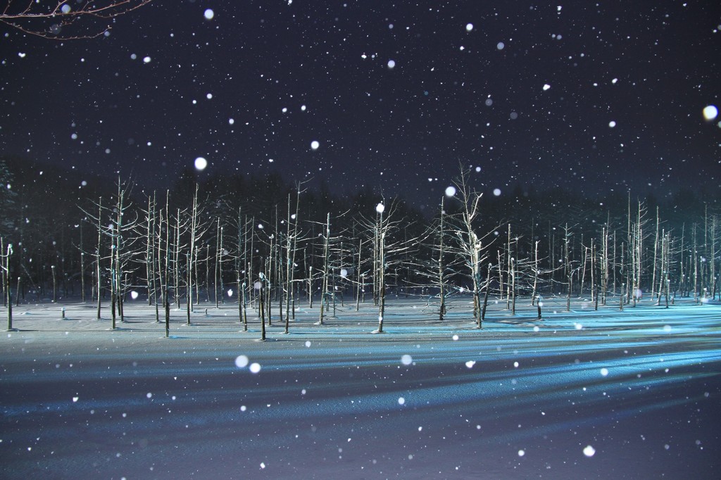 雪降る青い池
