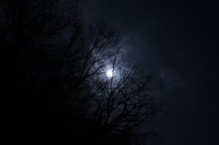 月光