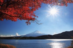 紅葉と富士山