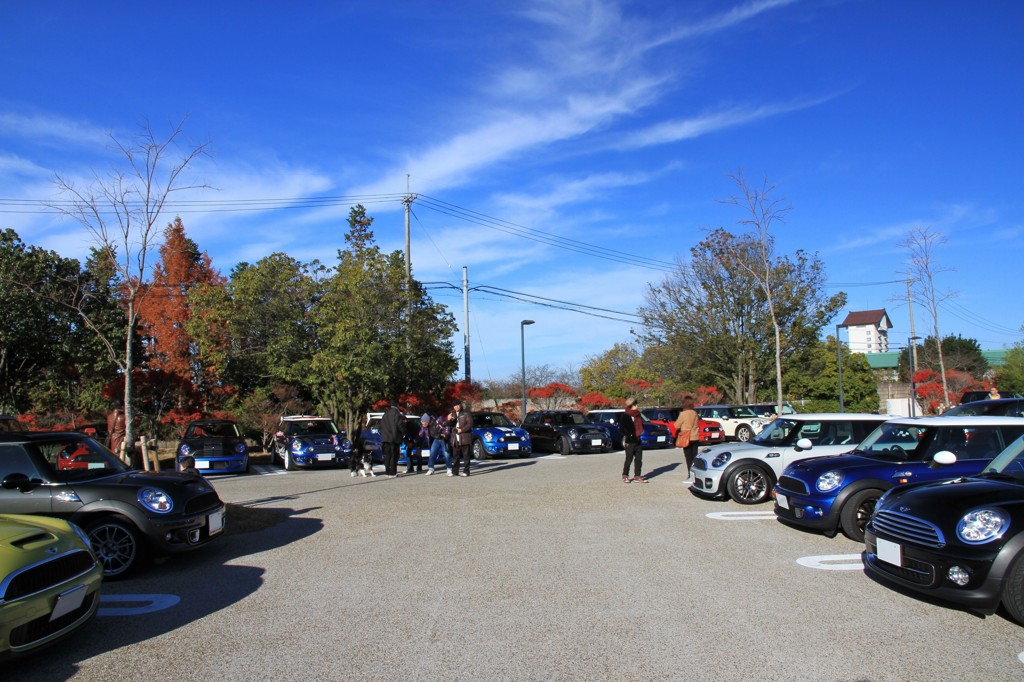 IMG_5892 (4000x2667)