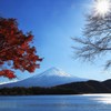 晩秋と初冬の狭間で