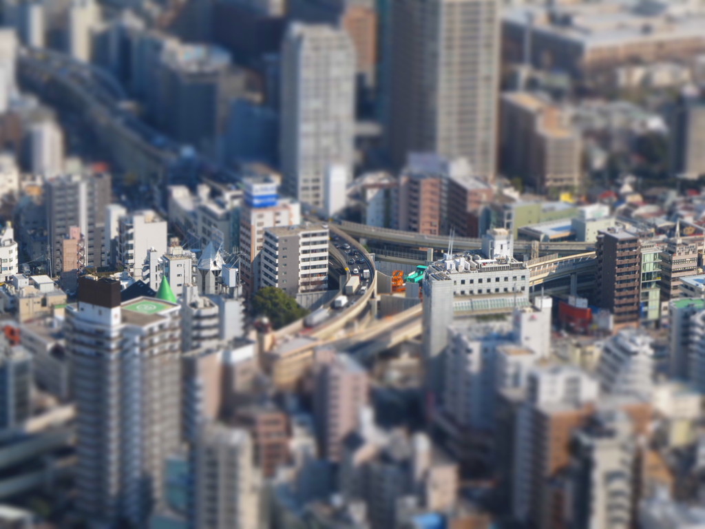 富豪の目