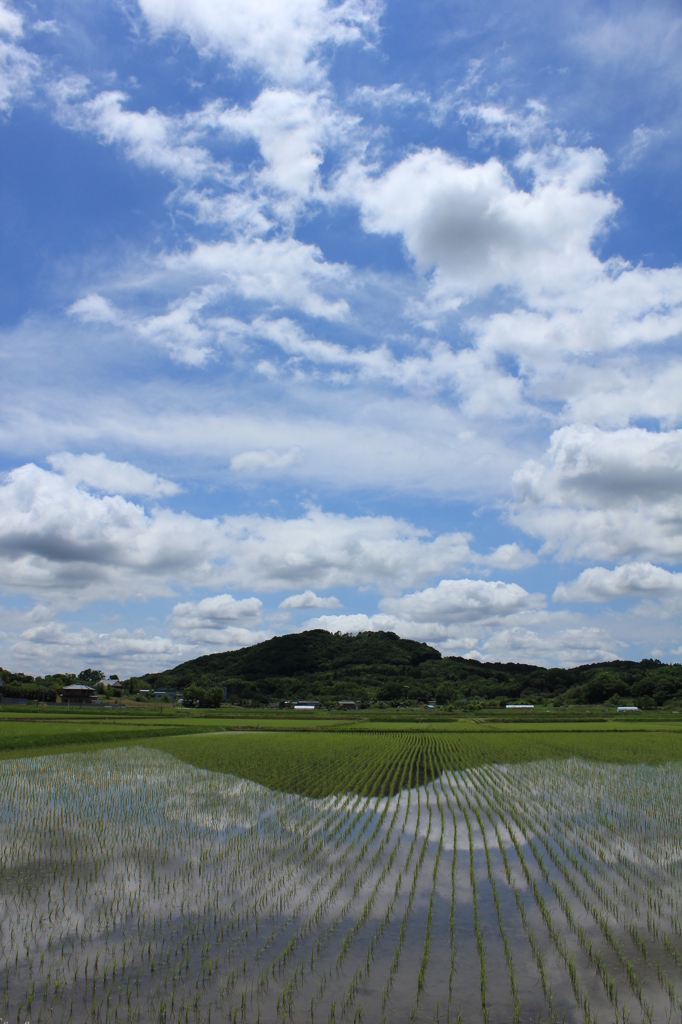 目的地は秋