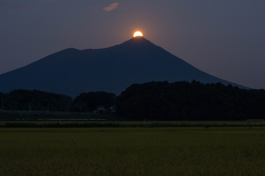 【参考】 パール紫峰