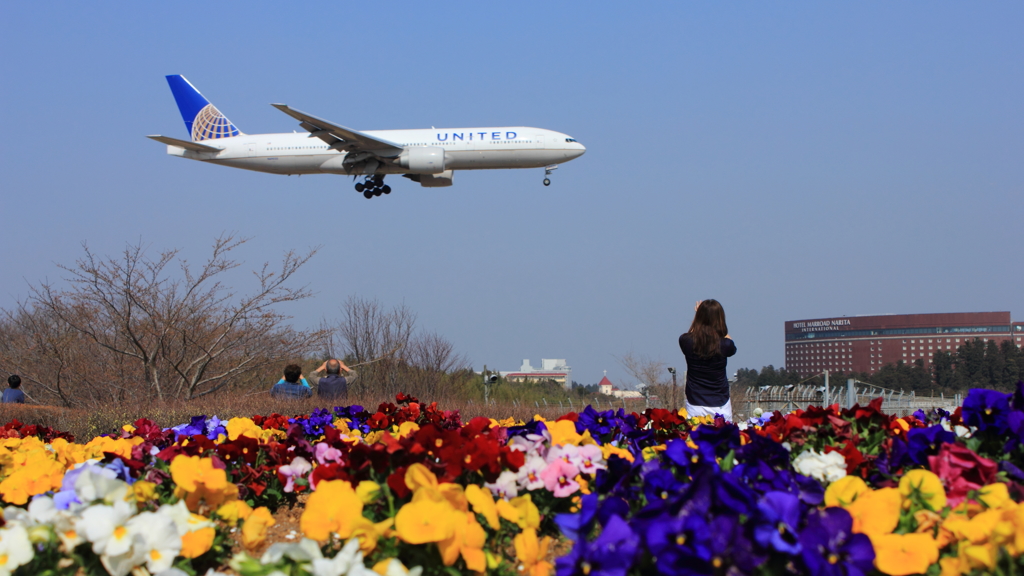 花畑国際空港　春