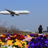 花畑国際空港　春