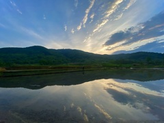 癒し