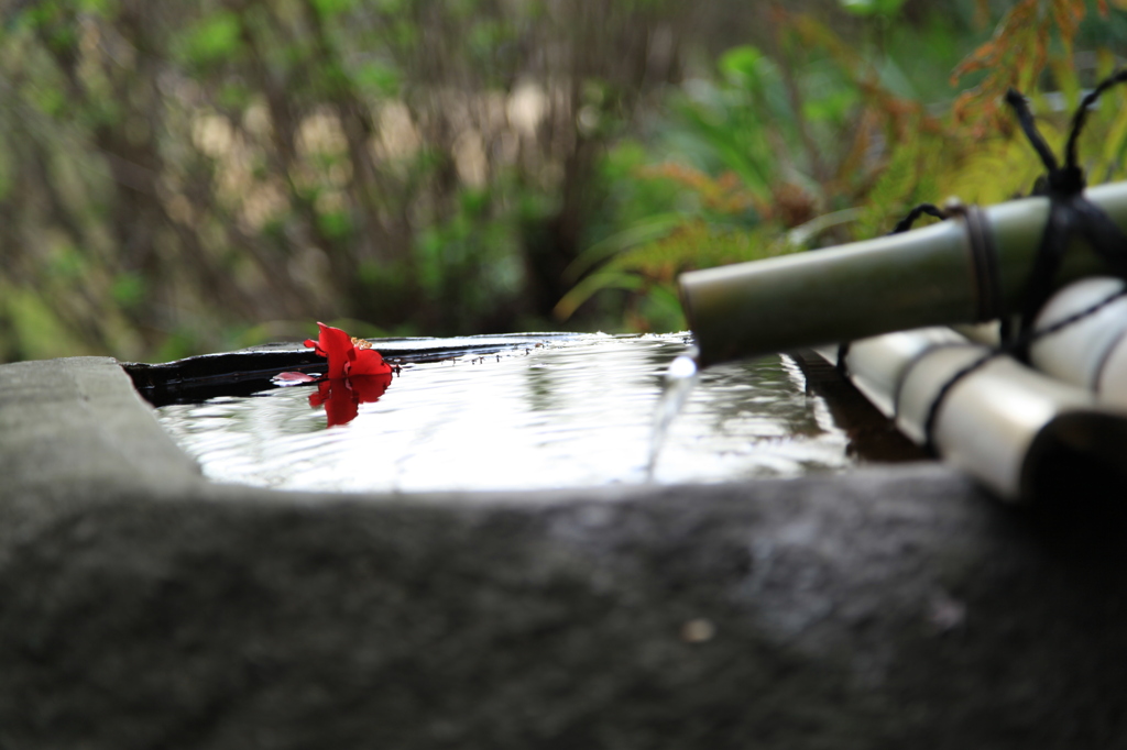 花と竹