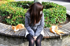 Between Cats