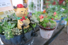観葉植物よりこの子が！？