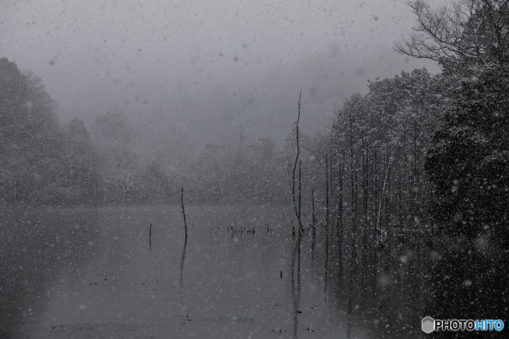 snow covered pond "KORO-IKE"