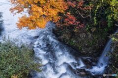 紅葉と滝
