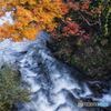 紅葉と滝