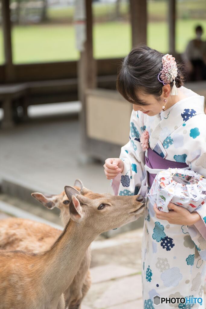 鹿と戯れる　2
