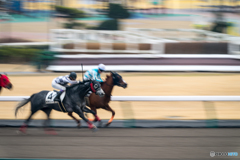 dead heat！