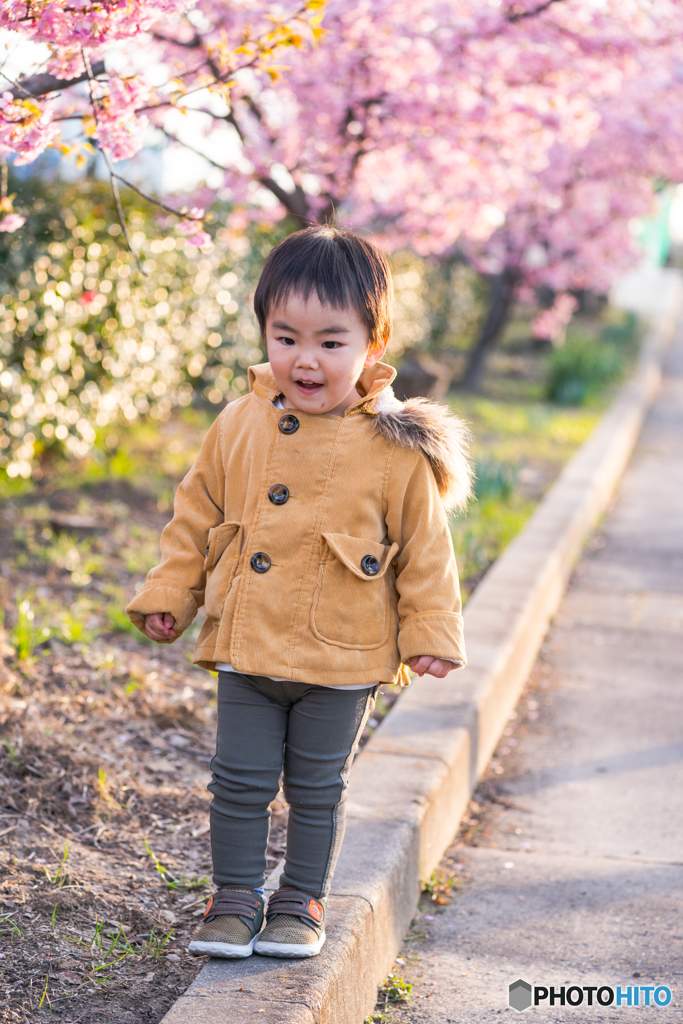 二歳児可愛さ最強！