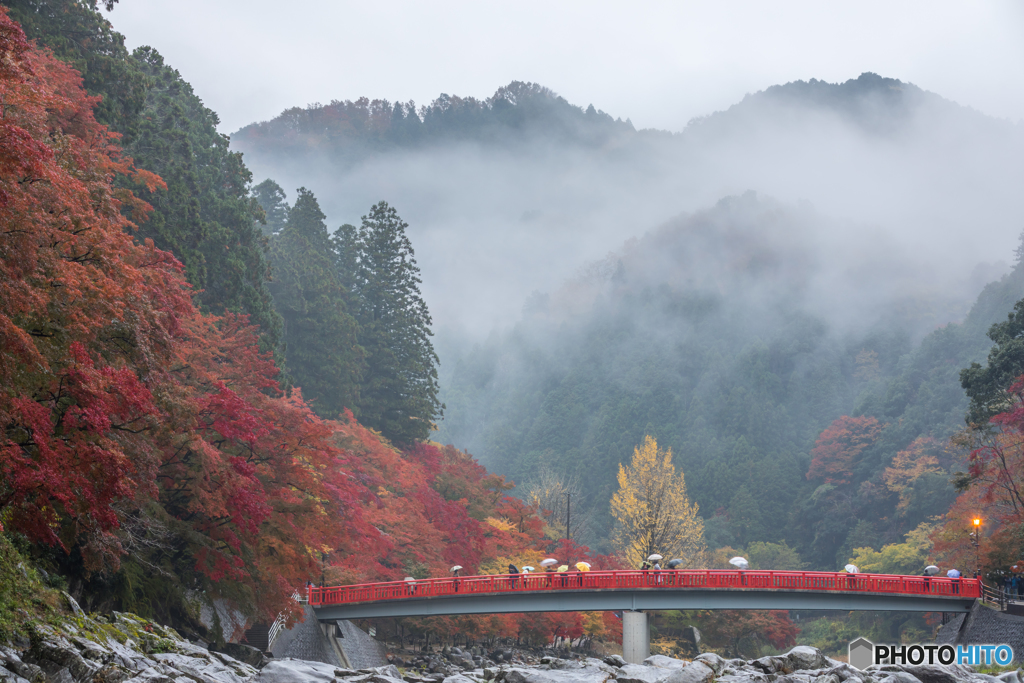 Rain scenery