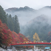 Rain scenery