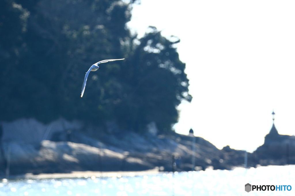 滑空