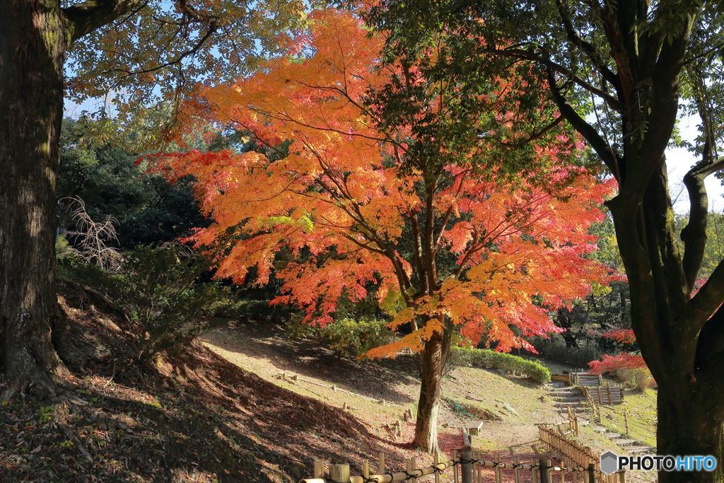 岡崎東公園4