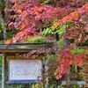 紅葉と説明板