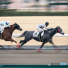 dead heat！