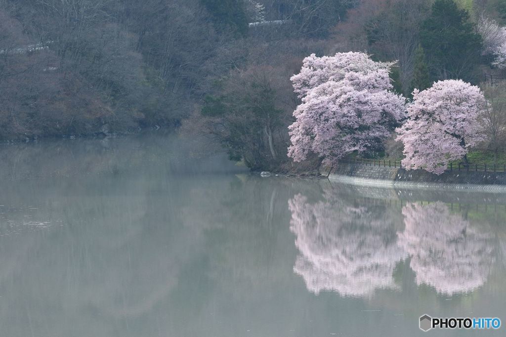 高遠ダム湖