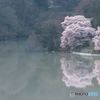 高遠ダム湖