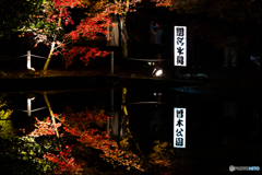 映り込みありきの看板
