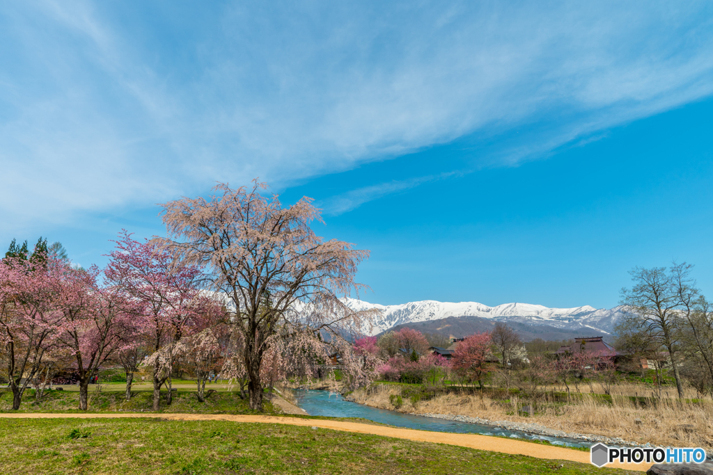 素晴らしい春の風景