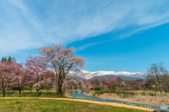 素晴らしい春の風景