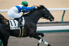 競走馬