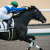 競走馬