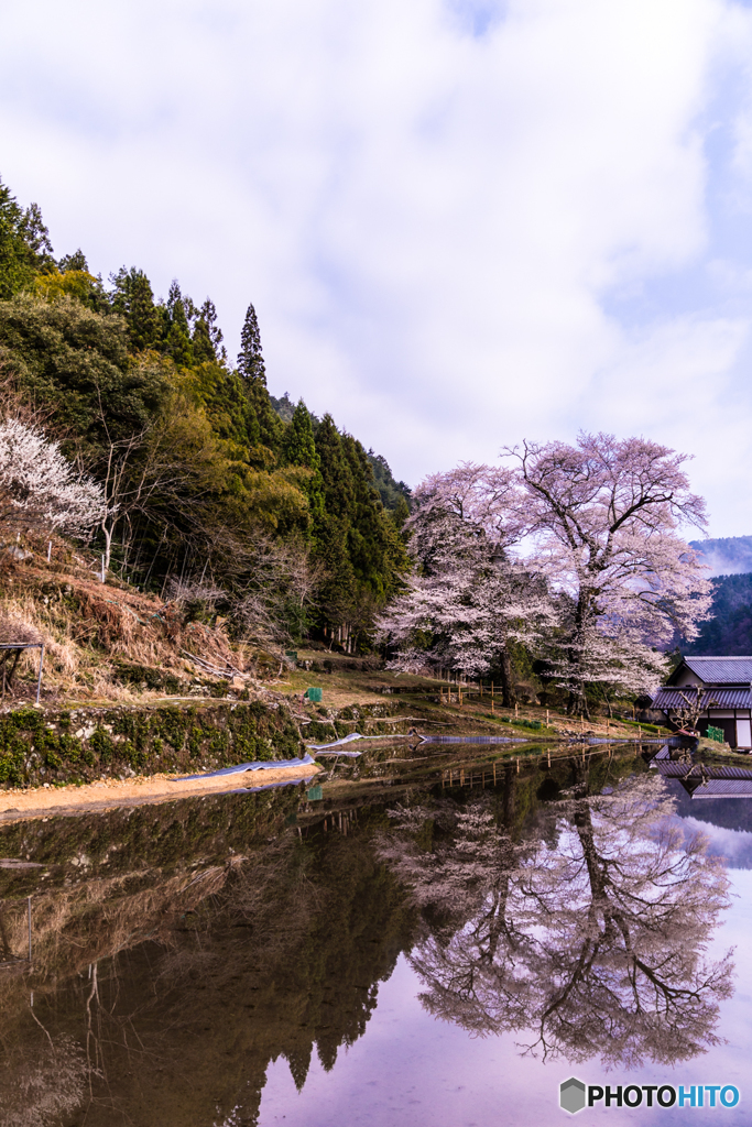 Reflection