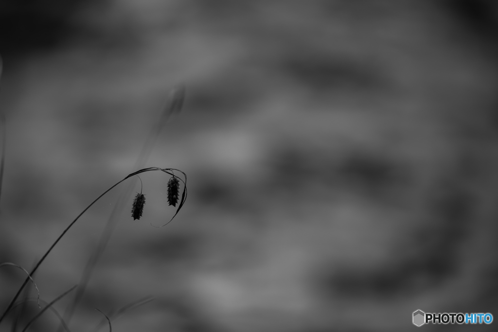 Silence