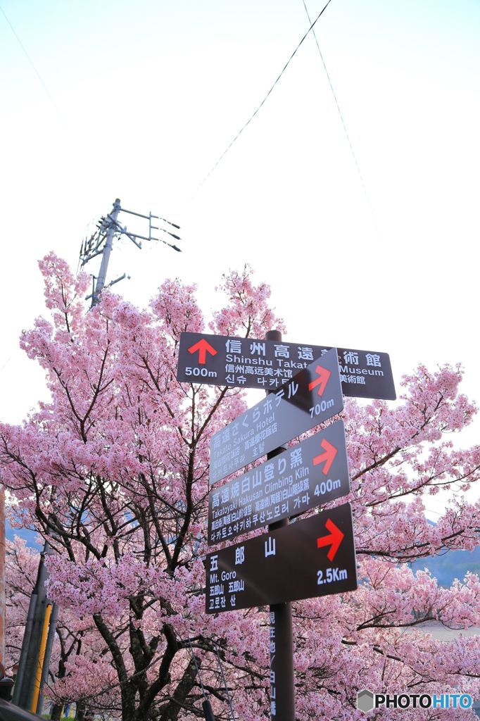 高遠城址公園