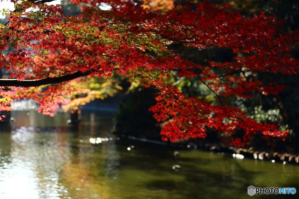 岡崎東公園2