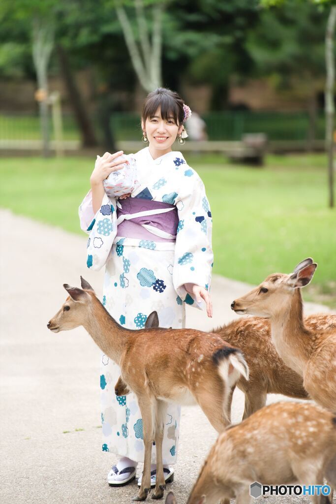 鹿と戯れる　1