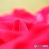 薔薇