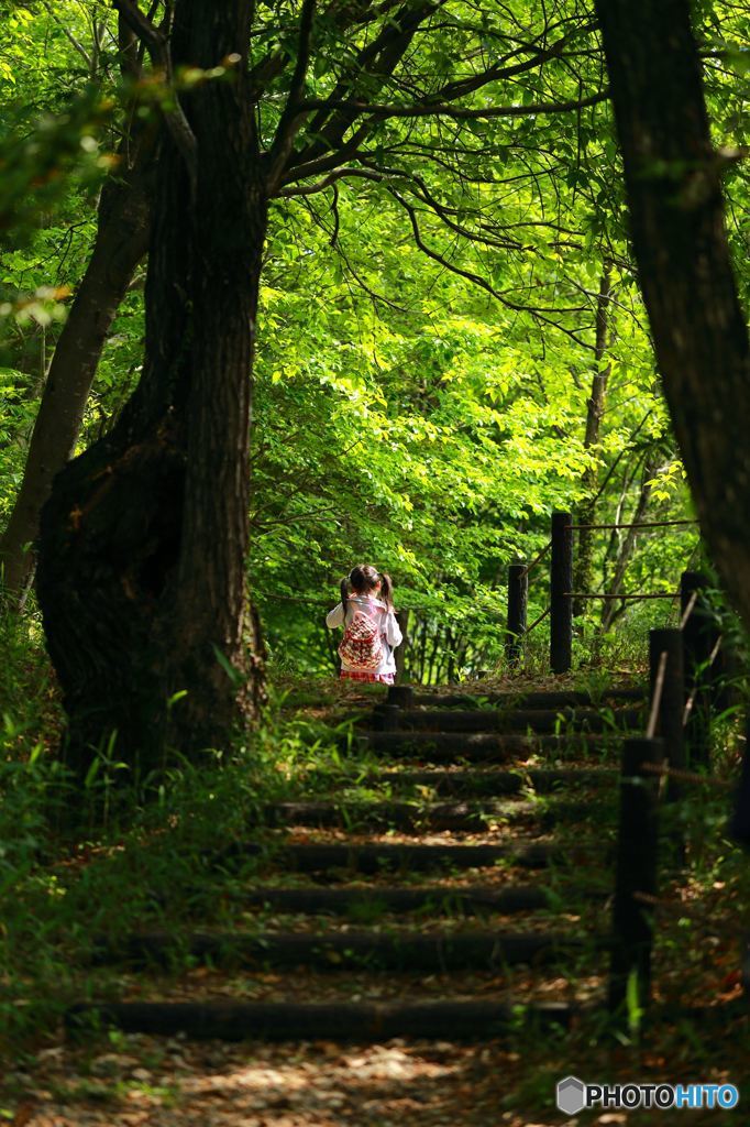 さぁ！冒険の始まりだ！