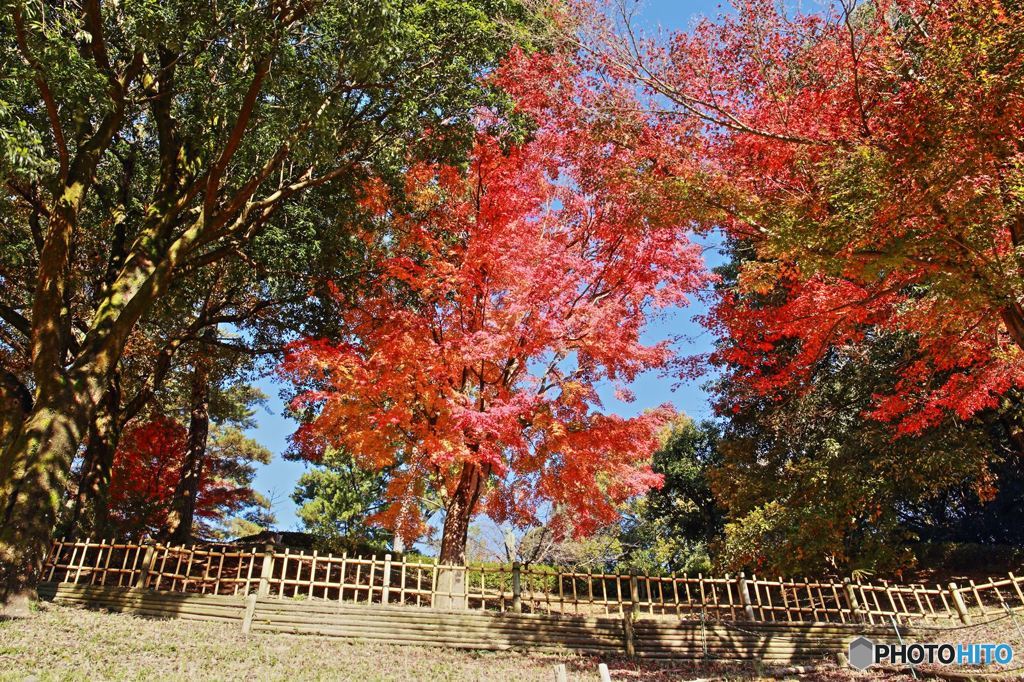 岡崎東公園3