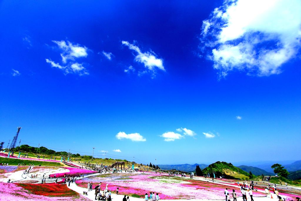 茶臼山山頂